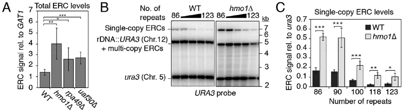 Figure 5: