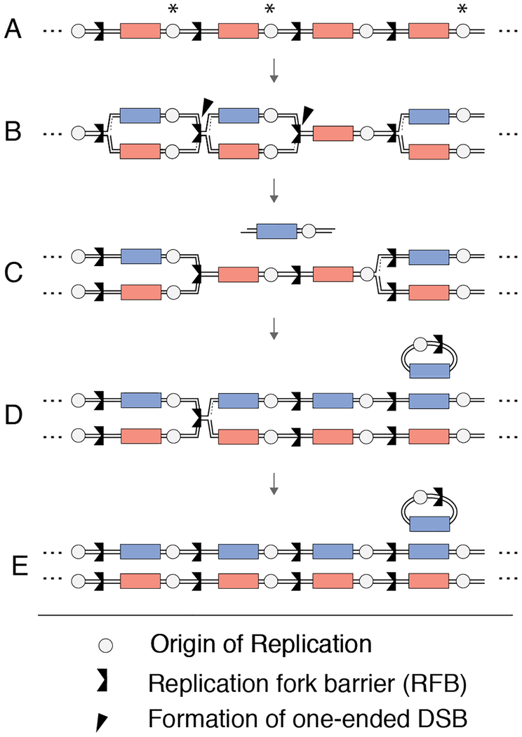 Figure 7: