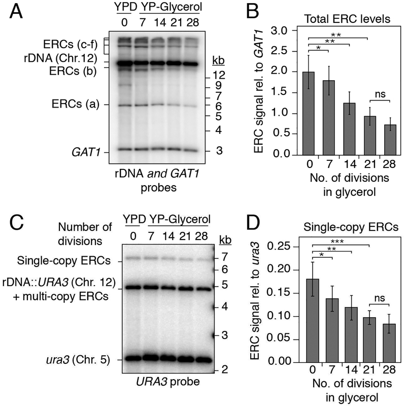 Figure 4: