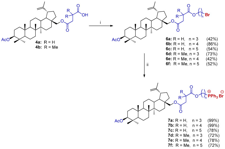 Scheme 3