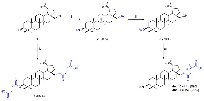 Scheme 2