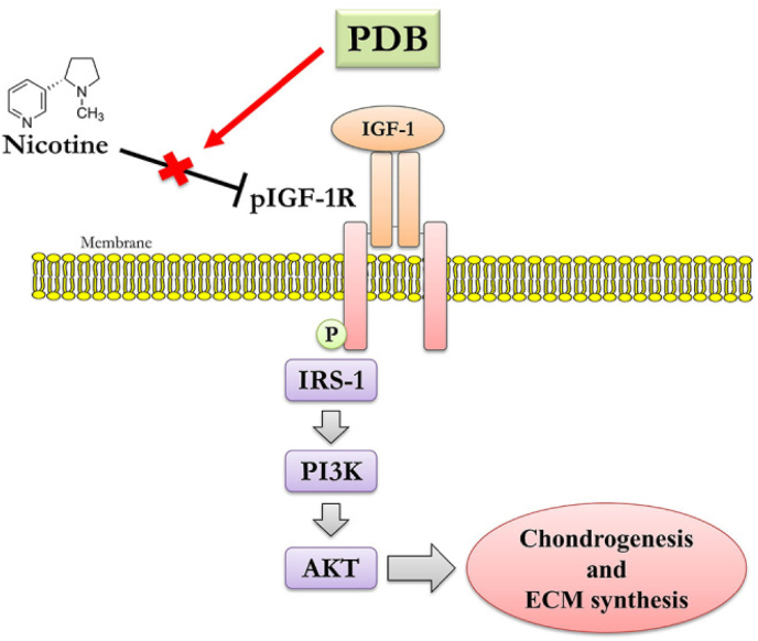 Fig. 7