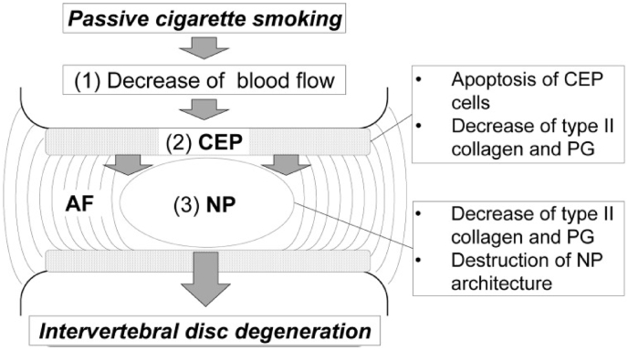 Fig. 6