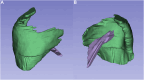 Fig. 2