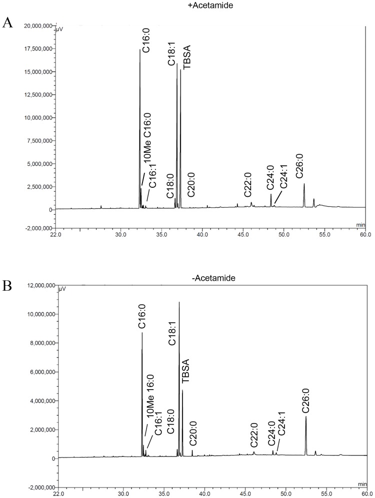 Fig 8