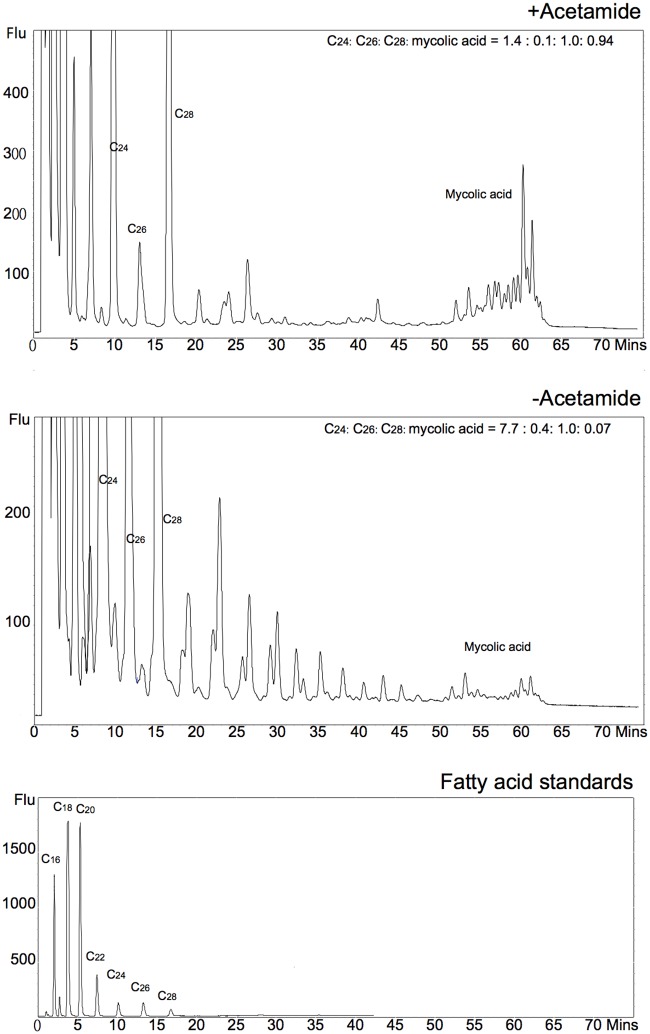 Fig 11