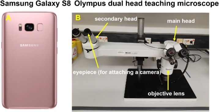 Fig. 2