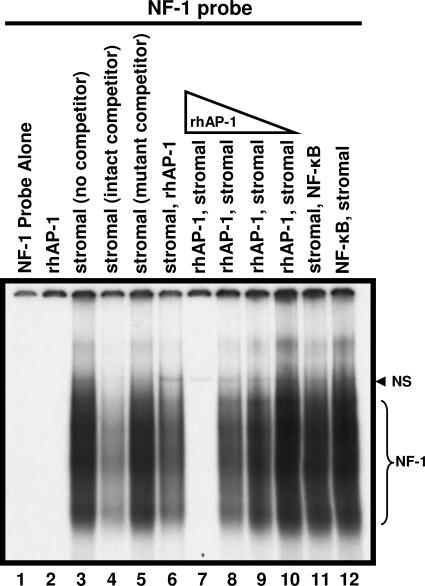 FIG. 1.