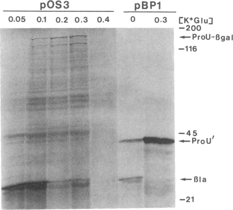 graphic file with name pnas00244-0060-a.jpg