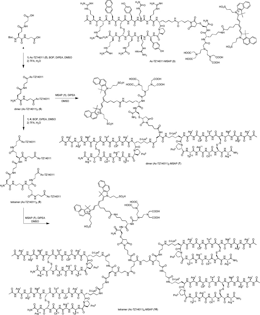 Scheme 1