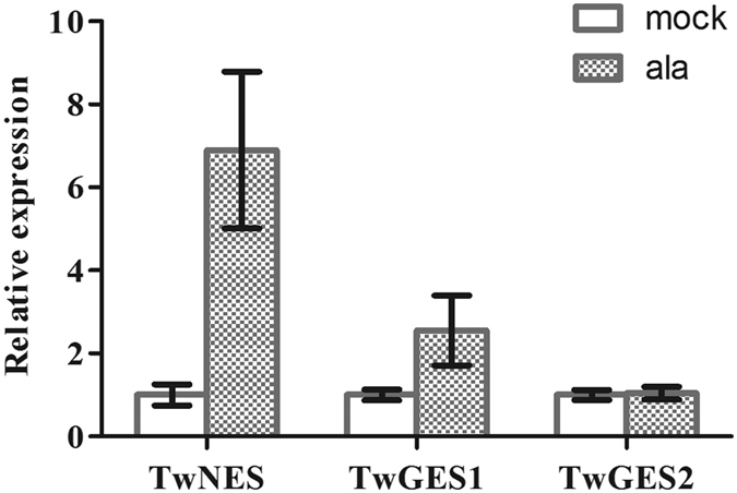 Figure 6