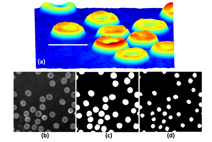 Fig. 3