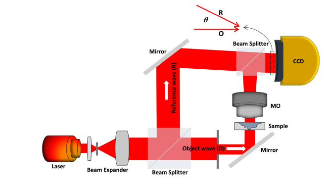 Fig. 1