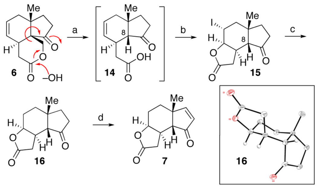 Scheme 3