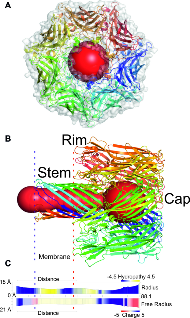 Figure 3.