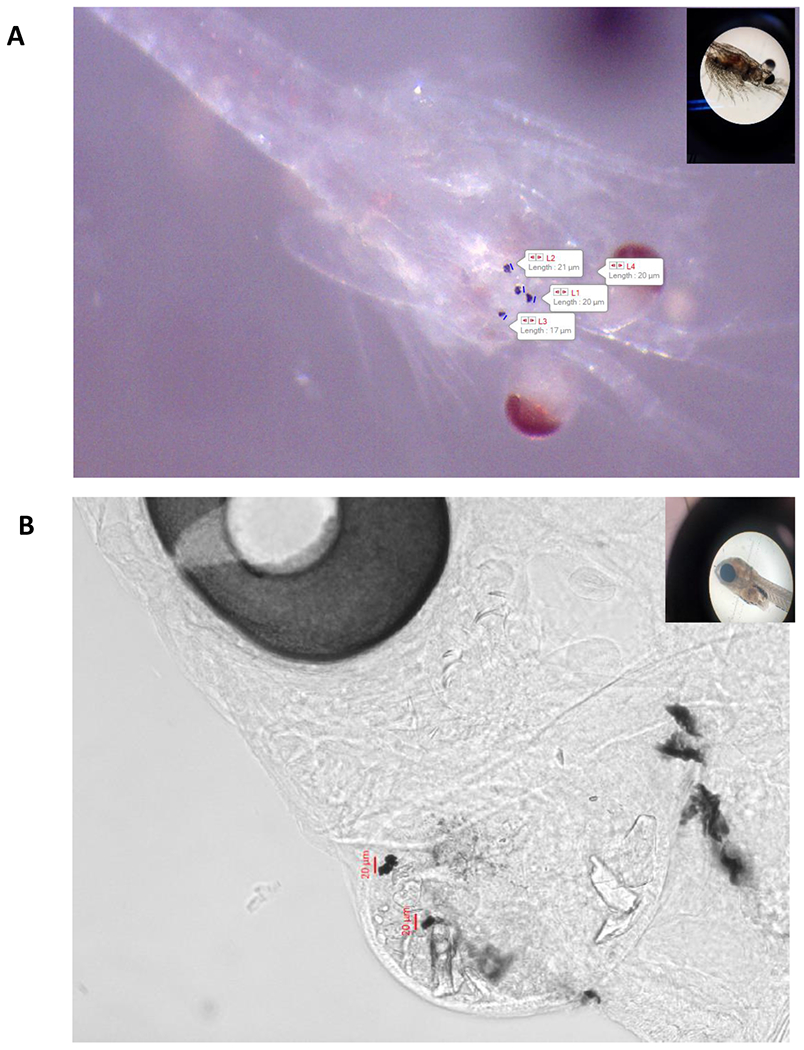 Fig. 9.