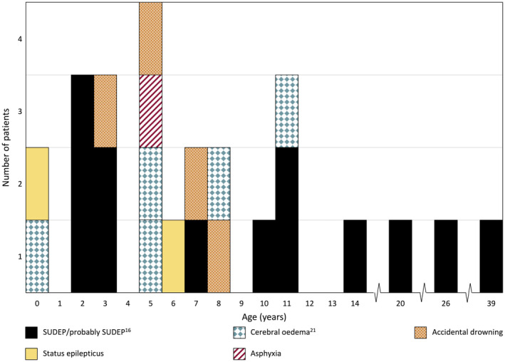 FIGURE 4