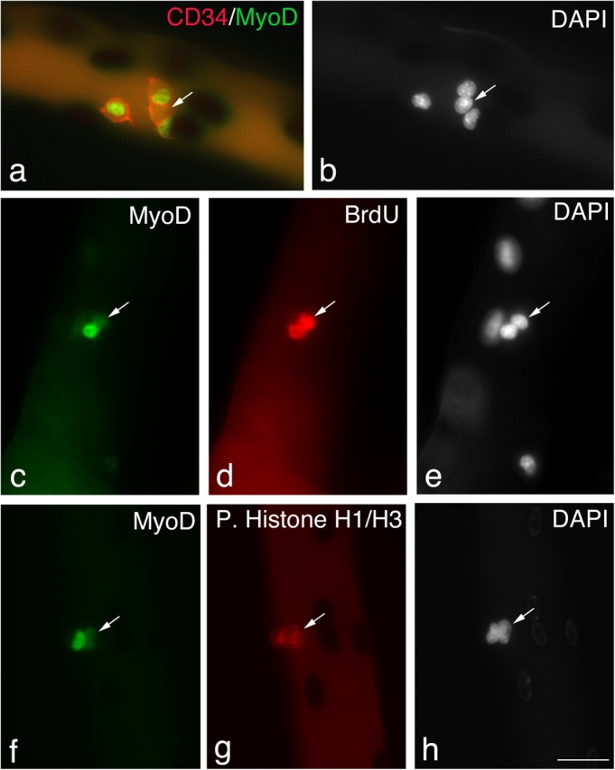 Figure 3.