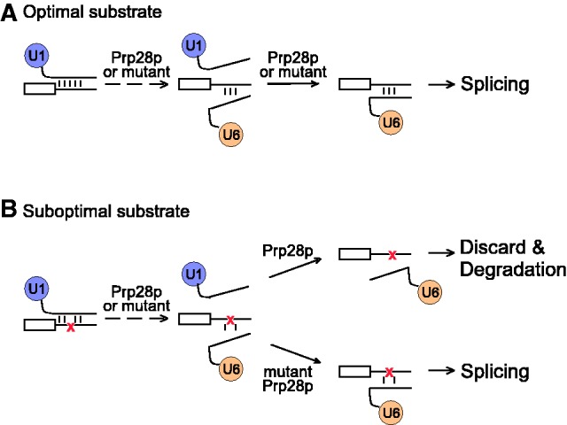 Figure 7.