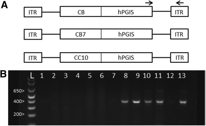 FIG. 1.