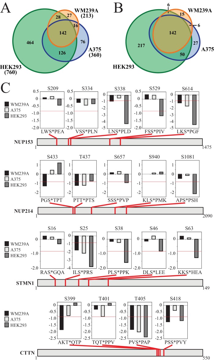 Fig. 9.