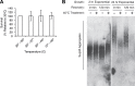 Figure 1—figure supplement 1.