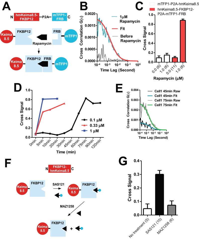 FIGURE 6: