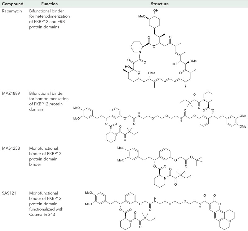 graphic file with name 2054ufig1.jpg