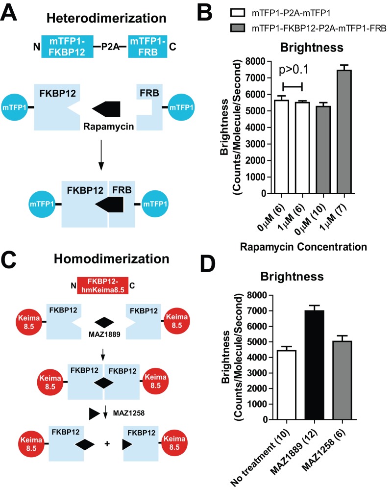 FIGURE 4: