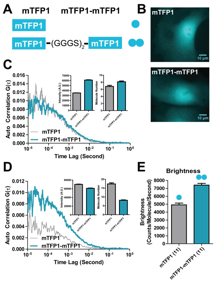 FIGURE 3: