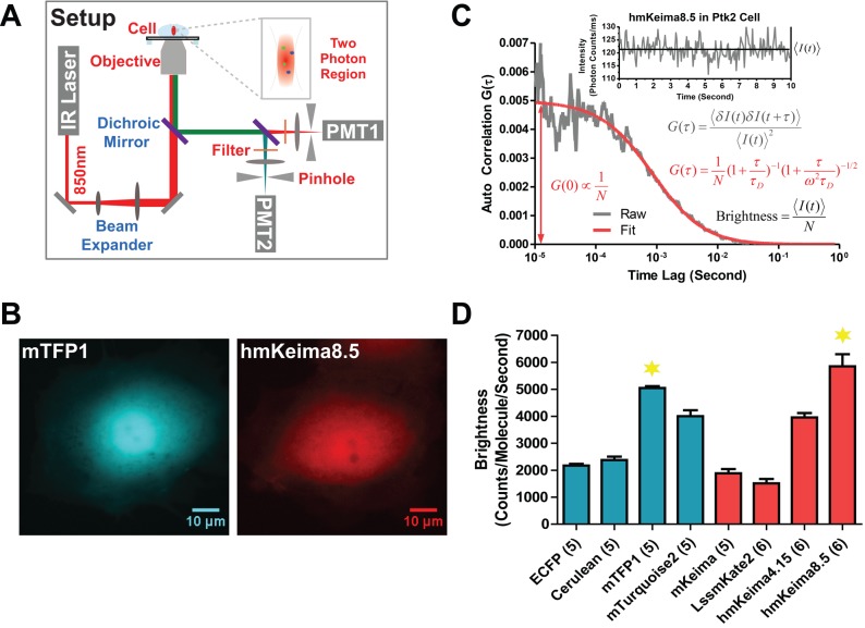 FIGURE 2: