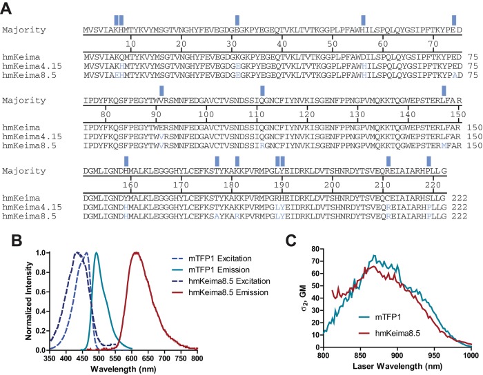 FIGURE 1: