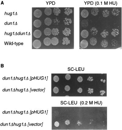 FIG. 6