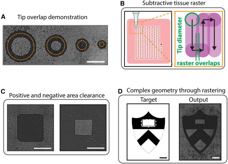 Figure 3
