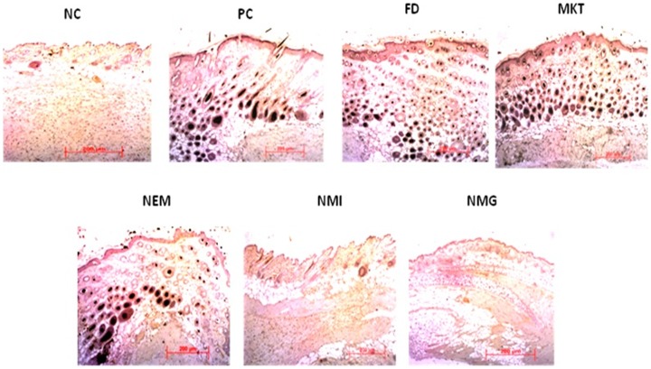 Figure 18