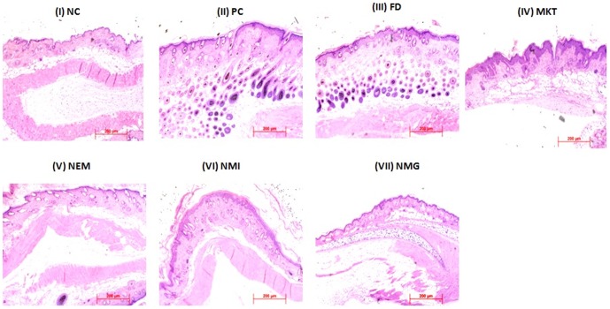 Figure 17