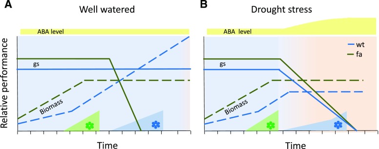 Figure 11.