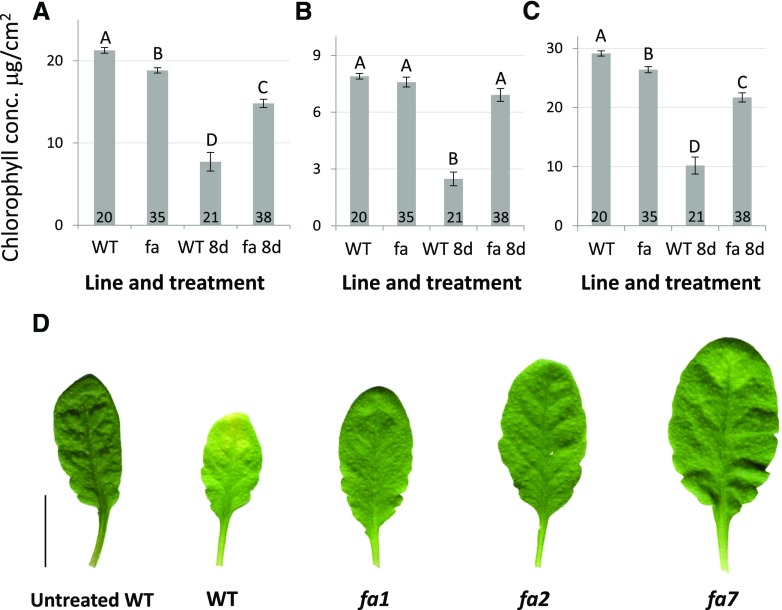 Figure 10.