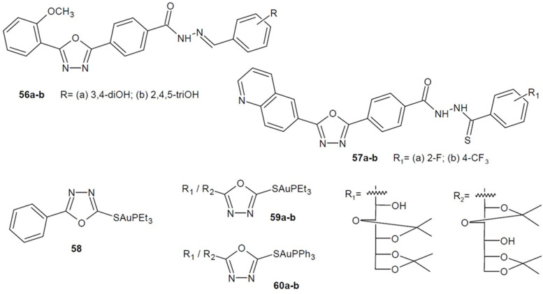 Figure 20