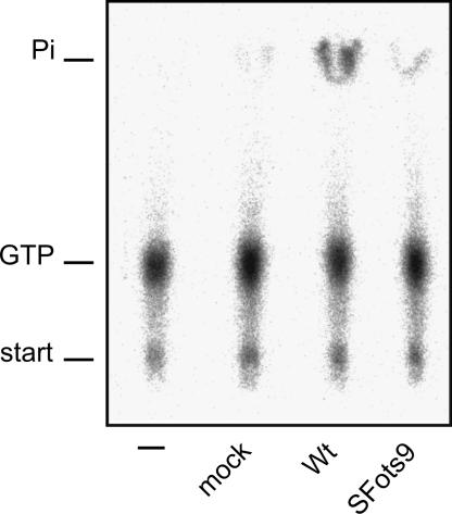 FIG. 6.