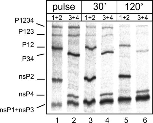 FIG. 7.