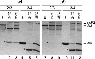 FIG. 9.