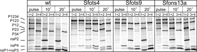 FIG. 8.