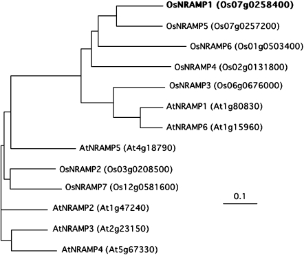 Fig. 1.