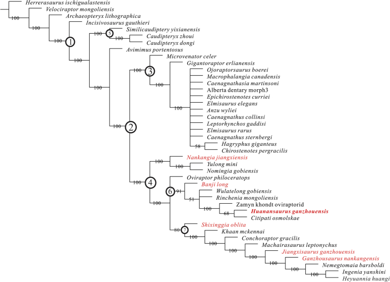 Figure 7