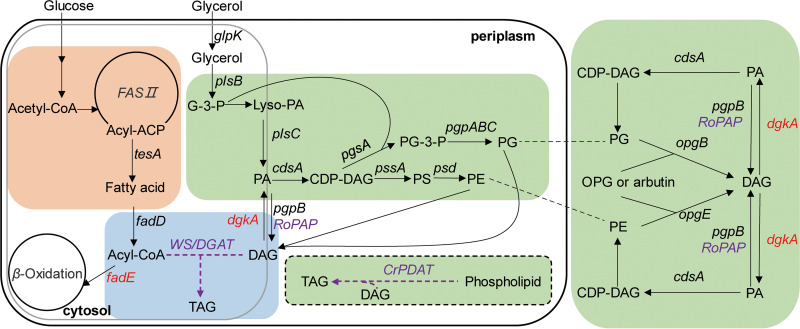 FIG 1