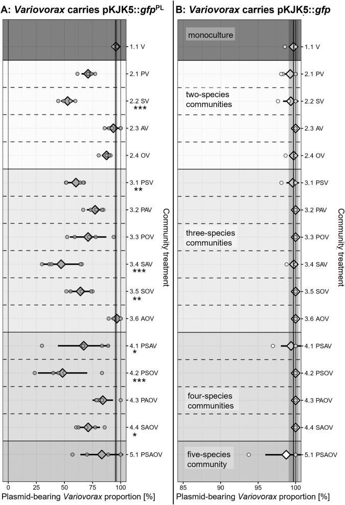 Fig. 2 Different combinations of growth partners elicit different Variovorax plasmid loss effects.