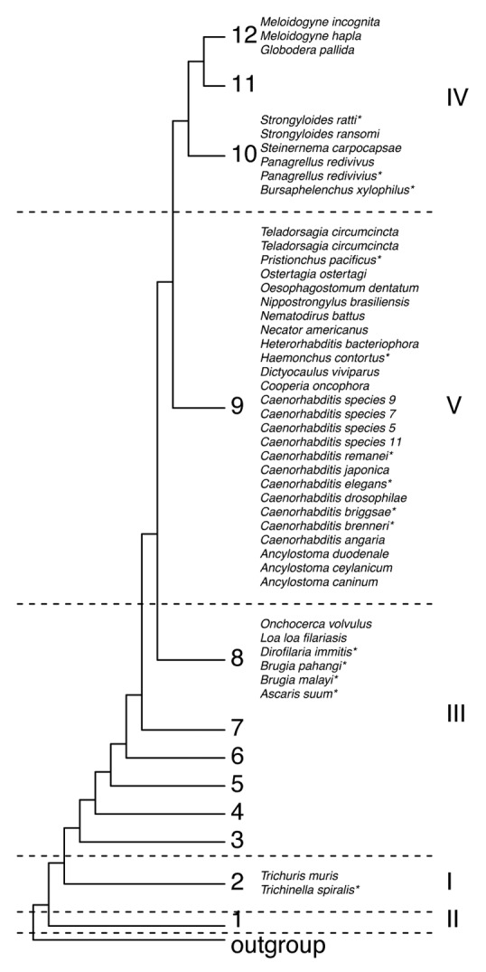 graphic file with name worm-3-e28234-g1.jpg