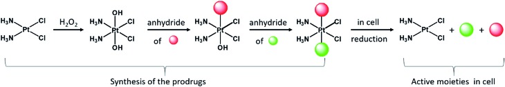 Scheme 1