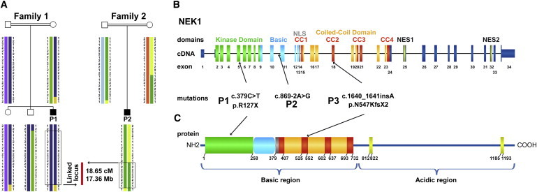 Figure 4